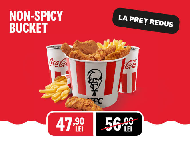Non-Spicy Bucket La Preț Redus